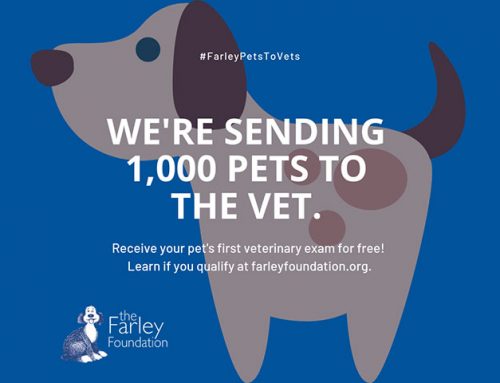 The Farley Foundation is sending 1,000 pets to the vet!