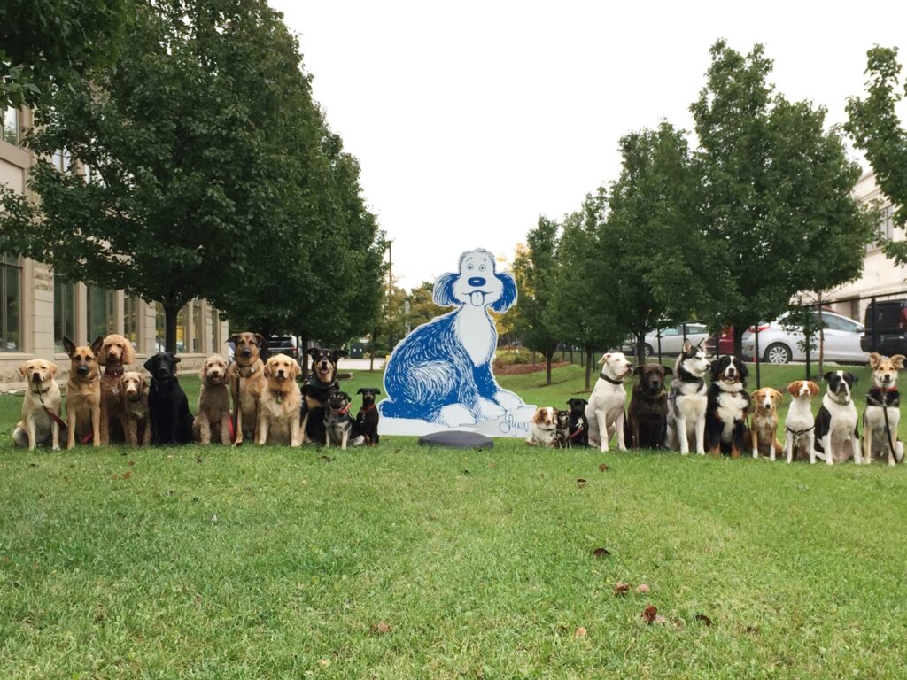 Dogs representing the Farley Foundation