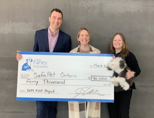 The Farley Foundation grants SafePet Ontario $40,000