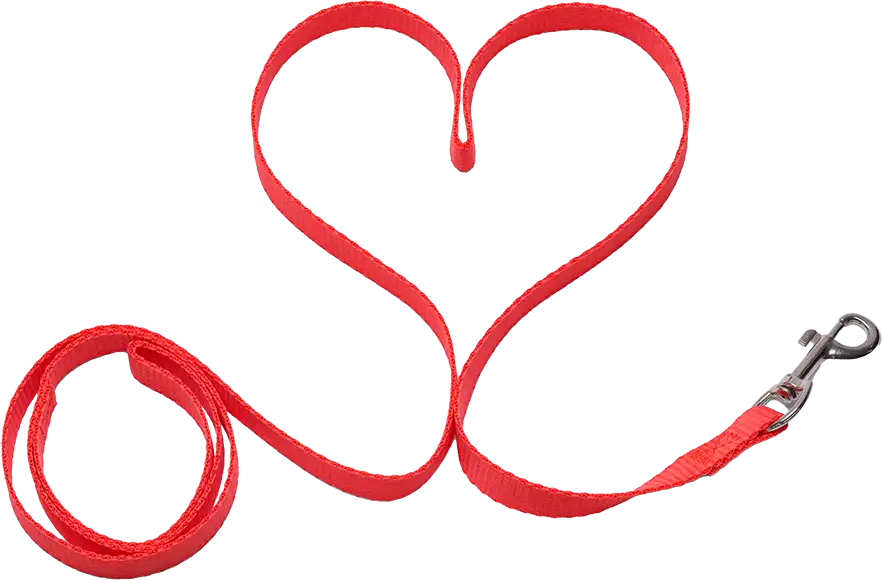 Heart leash