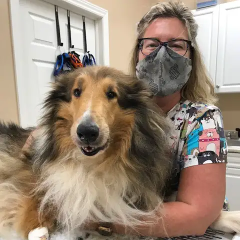 Veterinarian and dog.