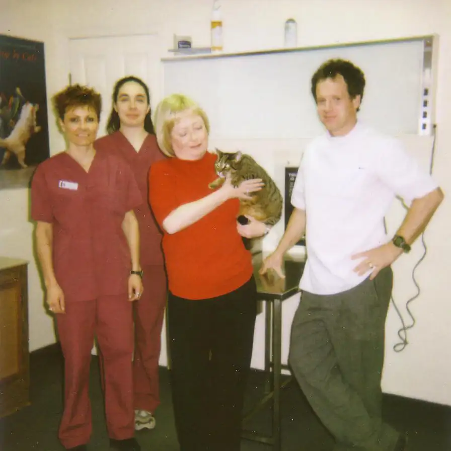 The first animal welfare charity client for the Farley Foundation.