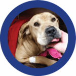 Farley Foundation recipient