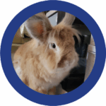 Farley Foundation recipient