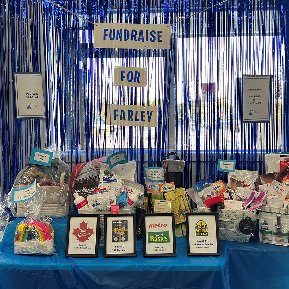 Veterinary clinic fundraising display