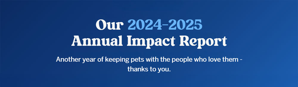 Farley Foundation annual impact report